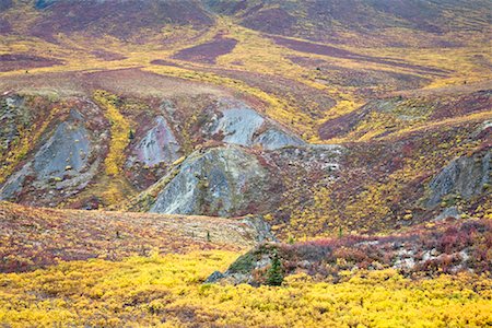 Alpine Tundra in Autumn, Tombstone Territorial Park, Yukon, Canada Stock Photo - Premium Royalty-Free, Code: 600-01954706