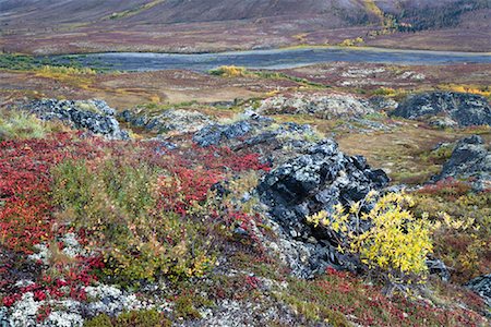 River through Tundra, North Klondike River Valley, Tombstone Territorial Park, Yukon, Canada Foto de stock - Royalty Free Premium, Número: 600-01954711