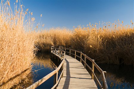 Azraq Wetland Reserve, Azraq, Jordan Stock Photo - Premium Royalty-Free, Code: 600-02033808