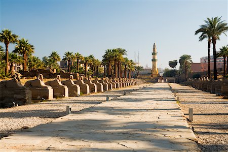 Allée des Sphinx, Temple de Luxor, Luxor, Égypte Photographie de stock - Premium Libres de Droits, Code: 600-02033879