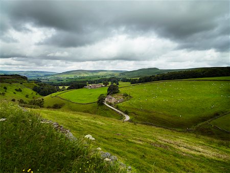 pasture - Peak District, England Stock Photo - Premium Royalty-Free, Code: 600-02046438