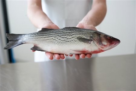 seafood food presentation - Person Holding Sea Bass Stock Photo - Premium Royalty-Free, Code: 600-02046485