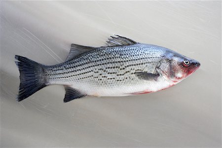 escama - Sea Bass Foto de stock - Sin royalties Premium, Código: 600-02046487