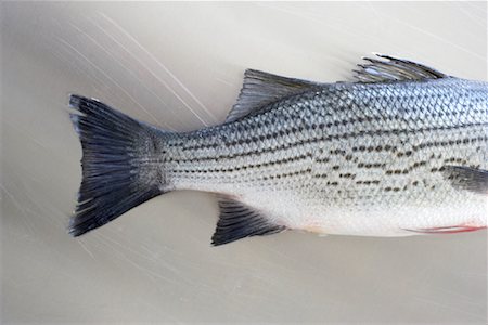 escama - Sea Bass Foto de stock - Sin royalties Premium, Código: 600-02046488