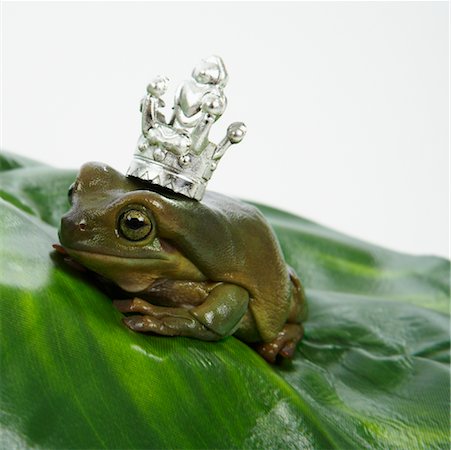 Prince Grenouille avec couronne Photographie de stock - Premium Libres de Droits, Code: 600-02055764