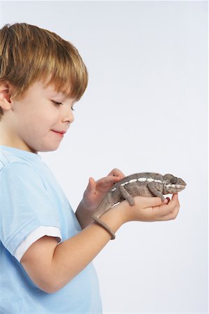 reptile on white - Boy Holding Lizard Stock Photo - Premium Royalty-Free, Code: 600-02055786