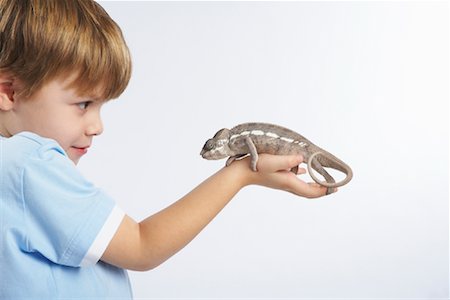 holding a chameleon