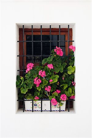 Potted Plant in Window, Altea Valencia, Spain Stock Photo - Premium Royalty-Free, Code: 600-02056775