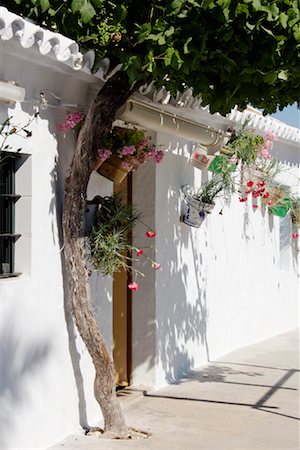 Tree by House Exterior, Andalucia, Spain Foto de stock - Sin royalties Premium, Código: 600-02056799