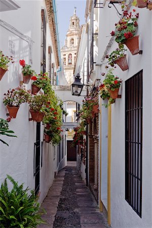 Calleja de las Flores, Cordoue, Andalousie, Espagne Photographie de stock - Premium Libres de Droits, Code: 600-02056807