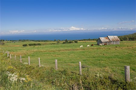 simsearch:600-05855356,k - Overview of Pasture, Charlevoix, Quebec, Canada Foto de stock - Sin royalties Premium, Código: 600-02063413