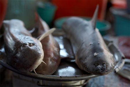 Fish, Duong Dong Market, Duong Dong, Phu Quoc, Vietnam Foto de stock - Sin royalties Premium, Código: 600-02063565