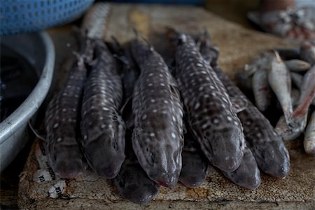 selling fish - Fish, Duong Dong Market, Duong Dong, Phu Quoc, Vietnam Foto de stock - Sin royalties Premium, Código: 600-02063567