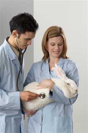 Veterinarians Listening to Giant Rabbit's Heartbeat Foto de stock - Sin royalties Premium, Código: 600-02071289