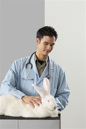 Veterinarian Examining Giant Rabbit Stock Photo - Premium Royalty-Free, Code: 600-02071290