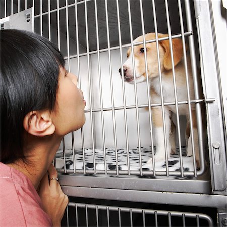simsearch:640-02777951,k - Woman with Dog in Cage Photographie de stock - Premium Libres de Droits, Code: 600-02071418