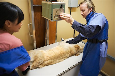 examen (médico) - Veterinarians with Dog Photographie de stock - Premium Libres de Droits, Code: 600-02071410