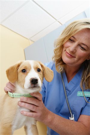 simsearch:700-00641875,k - Veterinarian with Dog Stock Photo - Premium Royalty-Free, Code: 600-02071432