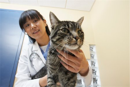 physicians portrait - Veterinarian with Cat Stock Photo - Premium Royalty-Free, Code: 600-02071455