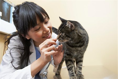 people smiling close ups - Veterinarian with Cat Stock Photo - Premium Royalty-Free, Code: 600-02071458