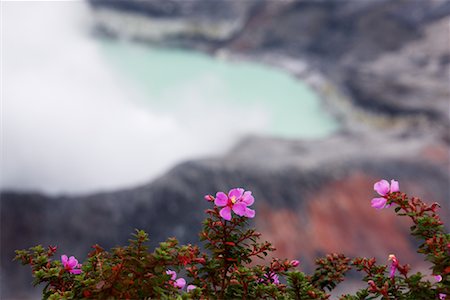 poas volcano - Poas Volcano, Costa Rica, Central America Fotografie stock - Premium Royalty-Free, Codice: 600-02080204