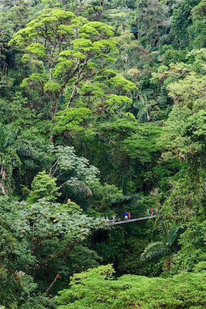 simsearch:600-02080224,k - Touristes sur le pont suspendu en forêt tropicale, au Costa Rica Photographie de stock - Premium Libres de Droits, Code: 600-02080217