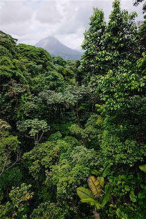Arenal Volcano and Rainforest, Costa Rica Stock Photo - Premium Royalty-Free, Code: 600-02080230