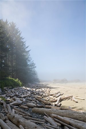 Driftwood on Beach, Long Beach, Pacific Rim National Park, Vancouver Island, British Columbia, Canada Foto de stock - Sin royalties Premium, Código: 600-02080664