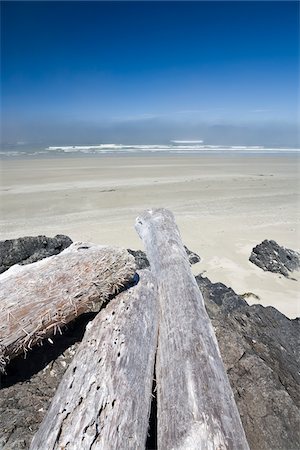 Driftwood on Beach, Long Beach, Pacific Rim National Park, Vancouver Island, British Columbia, Canada Fotografie stock - Premium Royalty-Free, Codice: 600-02080667
