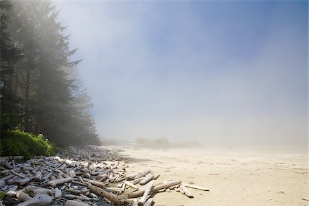 simsearch:600-02080668,k - Driftwood on Beach, Long Beach, Pacific Rim National Park, Vancouver Island, British Columbia, Canada Foto de stock - Sin royalties Premium, Código: 600-02080663