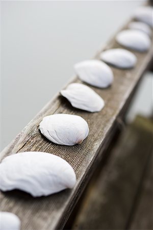stinson beach - Muscheln, aufgereiht auf einem hölzernen Geländer Stockbilder - Premium RF Lizenzfrei, Bildnummer: 600-02080816