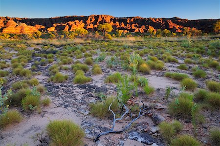 The Domes, Bungle Bungle Range, Purnululu National Park, Kimberley, Western Australia, Australia Stock Photo - Premium Royalty-Free, Code: 600-02176531