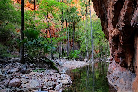 El Questro Gorge, Kimberley, Western Australia, Australia Stock Photo - Premium Royalty-Free, Code: 600-02176549