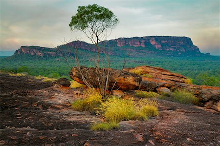 Nourlangie Rock, Kakadu National Park, Northern Territory, Australia Stock Photo - Premium Royalty-Free, Code: 600-02176558