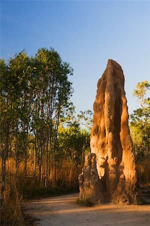 Magnetic Termite Mounts, Litchfield National Park, Northern Territory, Australia Foto de stock - Sin royalties Premium, Código: 600-02176567