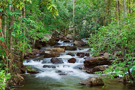 simsearch:600-02885951,k - Florence Creek, Litchfield National Park, Northern Territory, Australia Fotografie stock - Premium Royalty-Free, Codice: 600-02176569