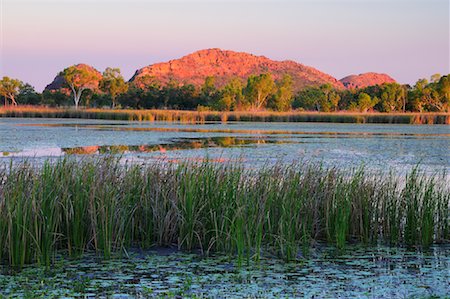 Lake Kununurra, Kimberley, Western Australia, Australia Foto de stock - Sin royalties Premium, Código: 600-02176561