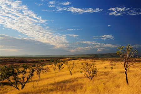 dry (no longer wet) - Scenery near Wyndham, Kimberley, Western Australia, Australia Stock Photo - Premium Royalty-Free, Code: 600-02176579