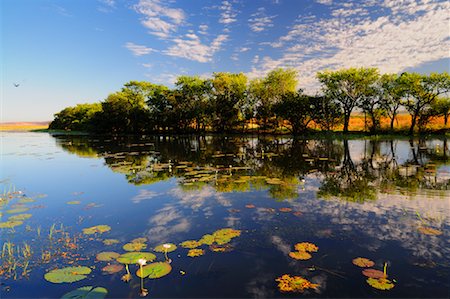 Parer les lagunes, Wyndham, Kimberley, Australie occidentale, Australie Photographie de stock - Premium Libres de Droits, Code: 600-02176580