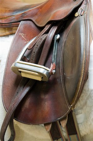 Close-Up of English Saddle Fotografie stock - Premium Royalty-Free, Codice: 600-02232009