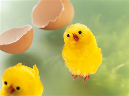 shell and nobody and object - Two Easter Chicks With Broken Eggshell Stock Photo - Premium Royalty-Free, Code: 600-02244937