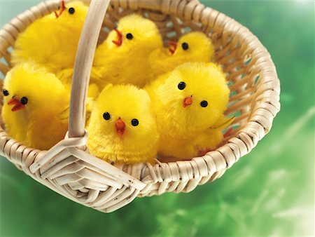 simsearch:600-02244941,k - Easter Chicks in Basket Foto de stock - Royalty Free Premium, Número: 600-02244950