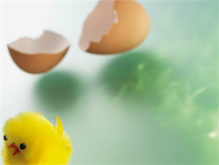 simsearch:600-02244941,k - Easter Chick With Broken Eggshell Foto de stock - Royalty Free Premium, Número: 600-02244953