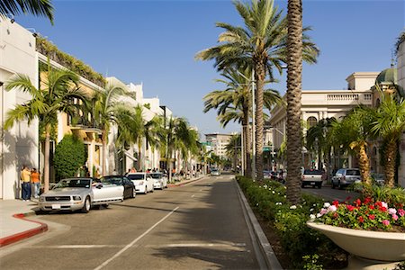 palm tree, california - View Down Rodeo Drive, Beverly Hills, California, USA Foto de stock - Sin royalties Premium, Código: 600-02245315