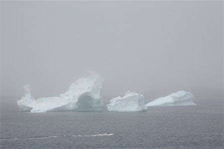 Iceberg in Fog, Near Twillingate, Newfoundland, Canada Foto de stock - Sin royalties Premium, Código: 600-02264000