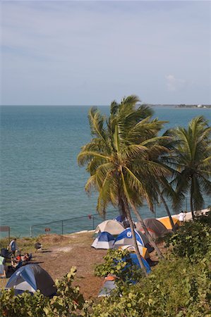 simsearch:700-02265158,k - Bahia Honda State Park, Florida Keys, en Floride, USA Photographie de stock - Premium Libres de Droits, Code: 600-02265088