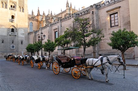 Horses and Buggies on Street, Seville, Spain Foto de stock - Sin royalties Premium, Código: 600-02290108