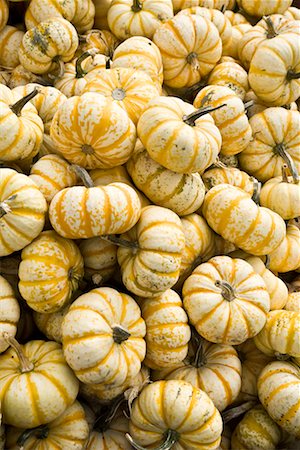 Pile of Gourds Stock Photo - Premium Royalty-Free, Code: 600-02314953