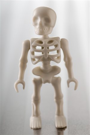 front view of full body skeleton - Skeleton Foto de stock - Sin royalties Premium, Código: 600-02346215