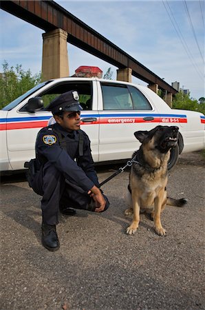 Portrait de l'officier de Police avec des chiens de Police Photographie de stock - Premium Libres de Droits, Code: 600-02348058